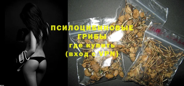 стафф Верхний Тагил