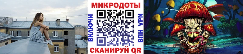 купить закладку  Всеволожск  omg маркетплейс  Галлюциногенные грибы Cubensis 